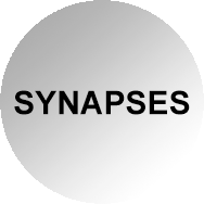 synaps-sw