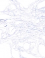 ks13402d61