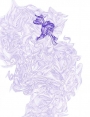 ks1912d44