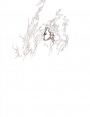 ks7701d31.jpg