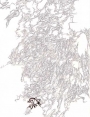 ks7703d41.jpg