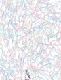 ks8603d21.jpg