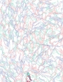 ks8603d22.jpg