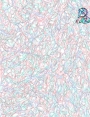 ks8606d42.jpg