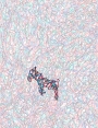 ks8608d12.jpg