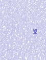 ks94010d23.jpg