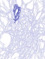 ks9405d21.jpg