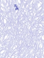 ks9407d27.jpg