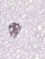 ks09506d33.jpg