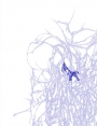 ks9902d52.jpg