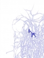 ks9902d53.jpg
