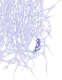 ks9903d16.jpg