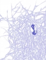 ks9904d62.jpg