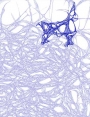 ks9905d62.jpg