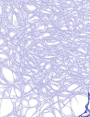 ks9906d45.jpg